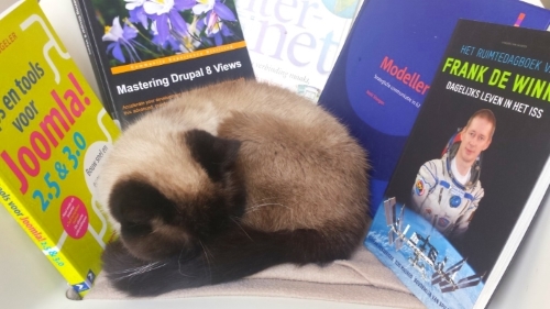 cat and books