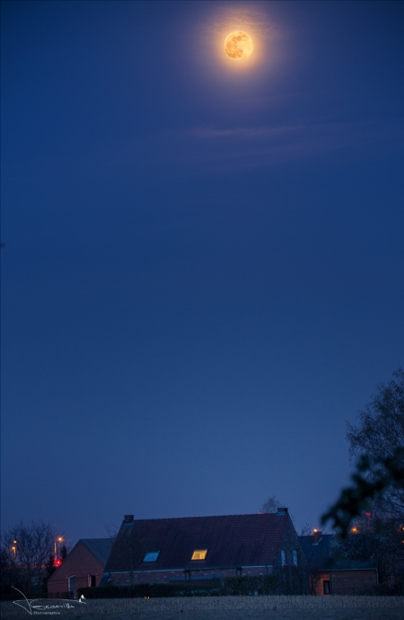 Pink Moon