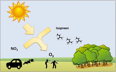 isopreen
