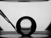 Bubble forming inside Boiling Cell in microgravity