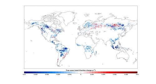 Distribution spatiale de la tendance linéaire nette
