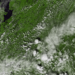 Simulation d'une image satellite de type MODIS